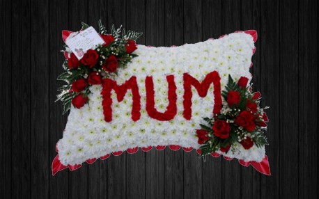 Mum In Reds - PIL25