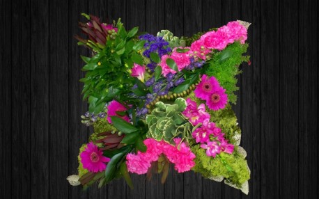 Country Garden - CUS17