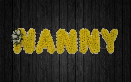 Nanny - NAN5