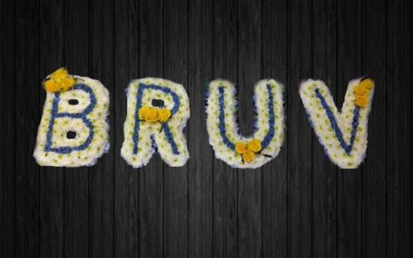 Bruv - BRO8