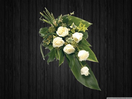 6 White Roses Sheaf - SHE13