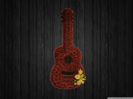 Acoustic Guitar