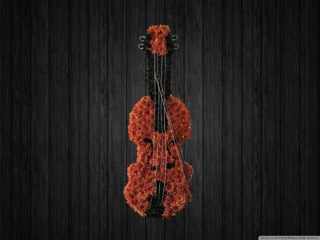 Violin