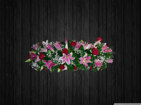 Last Kiss - CSK47