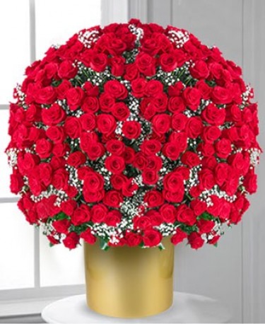 500 Red Roses? Get In There!