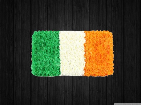 Irish Flag