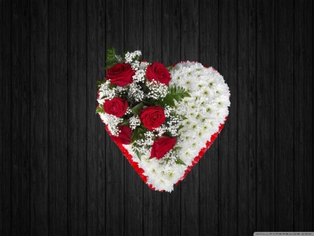 Solid Love - HEA122