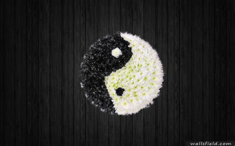 Yin Yang