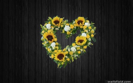 Striking Sunflower - HEA141