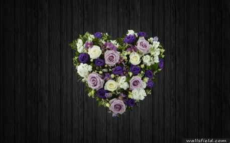 Lovely Lilac - HEA142
