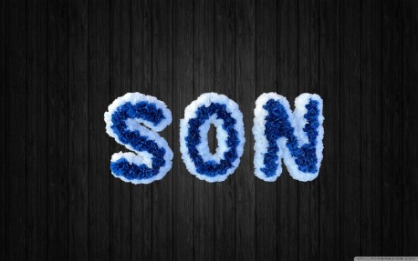 Son - ART55