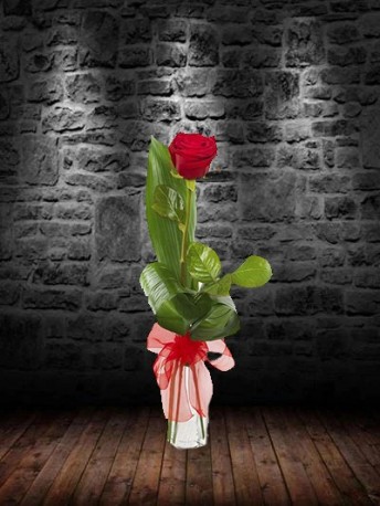 Single Red Rose & Vase