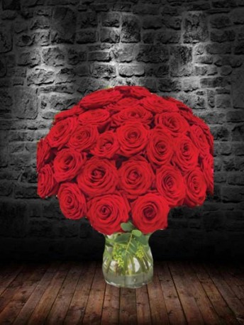 50 Rosa Naomi Roses