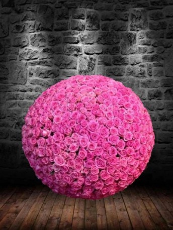 100, 300, 500 Pink Roses