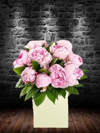 Perfect Peonies