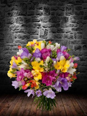 Mixed Freesias