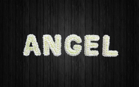 Angel - NAL76