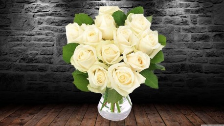 Just 12 White Roses