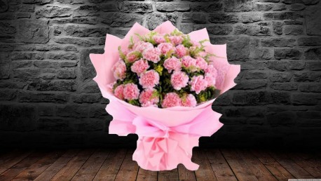 Pink Carnations