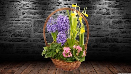 Soft Scented Basket