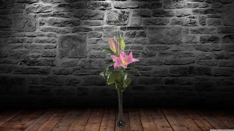 Pink Lily & Vase
