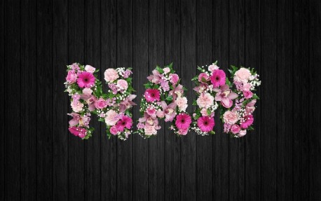 Pink Orchids Mix - NAN63