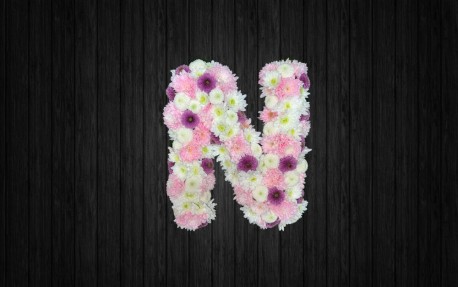N - NAL91
