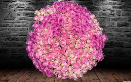 200, 400, 600 Pink Roses