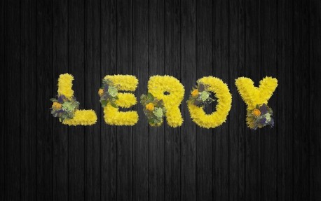 Leroy - NAL93