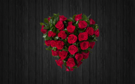 Rosa Ecuador - HEA208