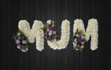 Wisteria - MUM128