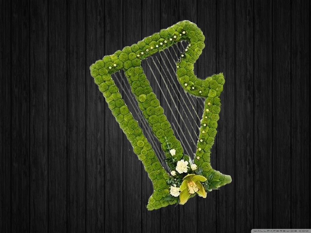 Harp In Green Rosa Florist