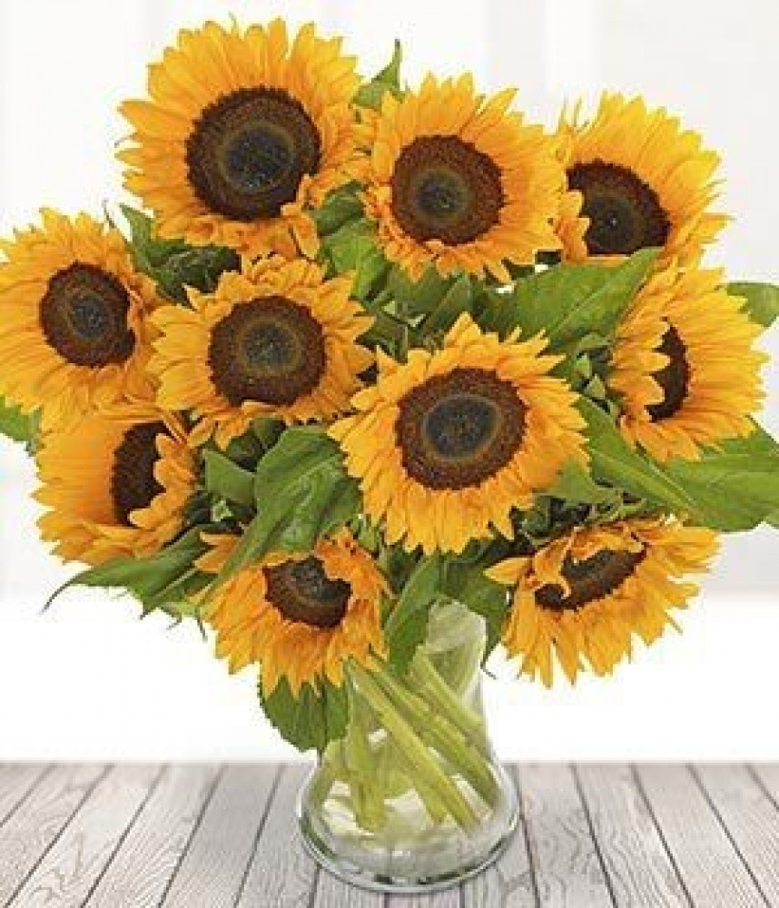 Sunflowers Rosa Florist