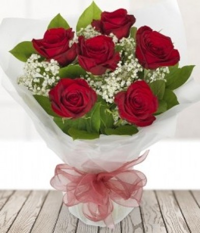 6 Red Roses with Gypsophila
