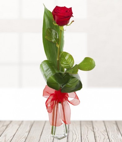 Single Red Rose with Vase