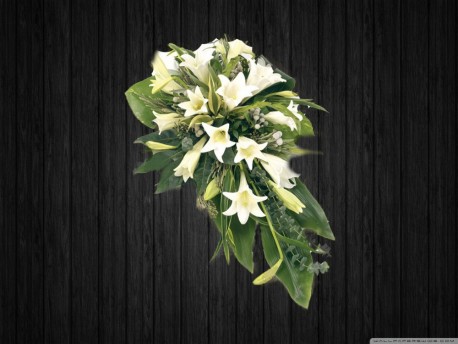 White Lily - SPR117