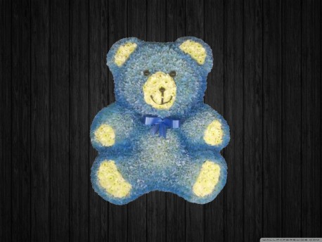 Sitting Teddy Bear 3