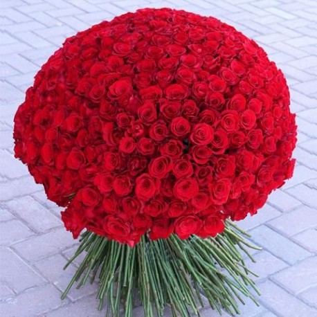 300 Red Roses? Give It To Her!