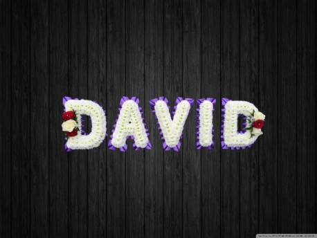 David - NAL20