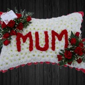 Mum In Reds - PIL25