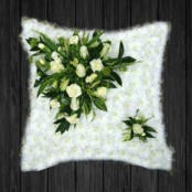 Bright White - CUS15