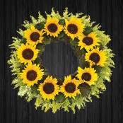 Sunflowers - WRE23
