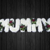 Mummy - MUM16