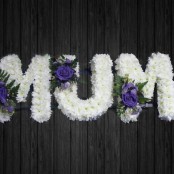 Lilac Rose - MUM22