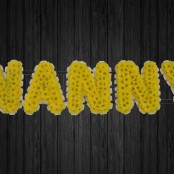 Nanny - NAN5