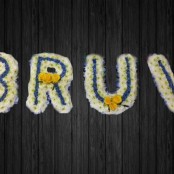 Bruv - BRO8
