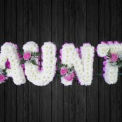 Aunt - AUN1