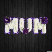 Lavender - MUM45