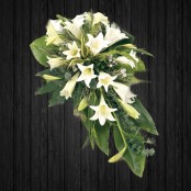 White Lily - SPR117