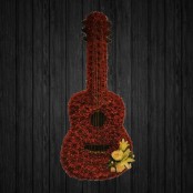 Acoustic Guitar